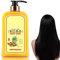 Ginaday Instant Ginger Hair Regrowth Shampoo,Ingwer Haarwuchs Shampoo,Shampoo Gegen Haarausfall,Haarwachstum Shampoo,Anti-Haarausfall Shampoo,Anti Haarverlust Shampoo,Natürlicher Ingwershampoo
