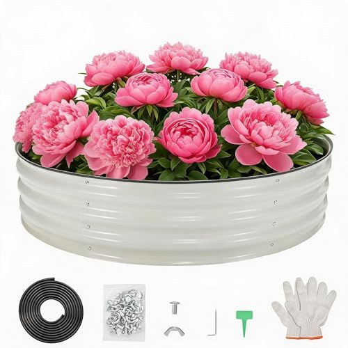 Garvee Hochbeet Rund 120x30cm Metall Verzinkt Weiß Gartenbeet | Bodenlos, Rostfrei, Schneller Aufbau, Gemüse, Kräuter, Blumen, Stabil, Outdoor, Langlebig, Robust, Montage