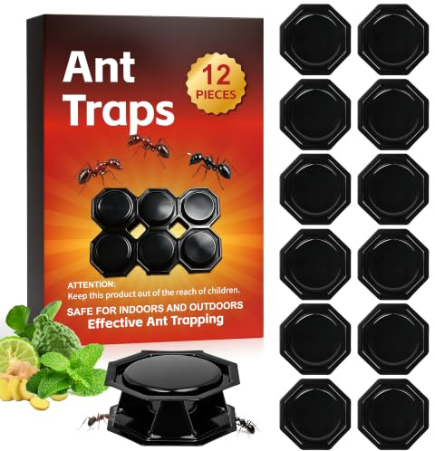 Ameisen Haushaltsbox 12er Pack, universelle Platzierbox Innen Außen für Küche und Fensterbereiche bei vorkommenden Ameisen