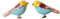 Niedliche Vogel Ohrringe 925 Sterling Silber Kleine Ohrstecker Knorpelohrringe Piercing Ohrstecker Vergoldet
