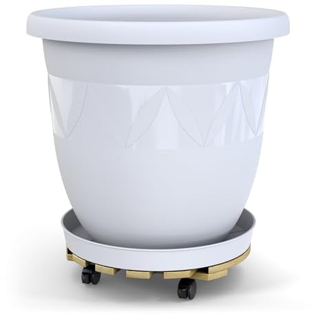 Plastard Pflanzroller mit Capri Blumentopf Ø 55 cm mit Untersetzer Weiß, Witterungsbeständig, Kunststoff-Pflanzkübel für Innen & Außen, Rollen mit Feststellfunktion