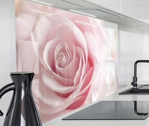timalo Spritzschutz Wand für Herd, Küche Küchenrückwand Glasoptik | Acryl Glas 2mm | Glasrückwand Acrylglas Wandpaneele Rückwandschutz Platte | 160x50cm Rosa Rose