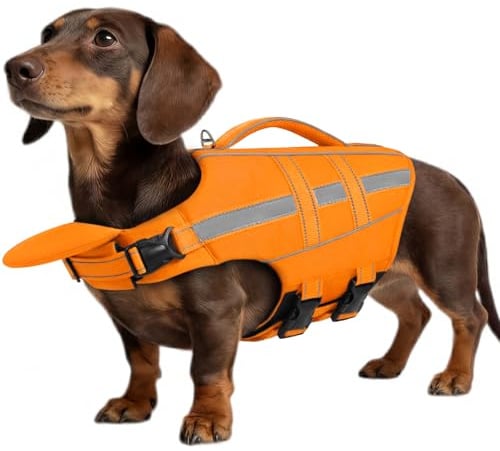 ASENKU Salvagente per Cani - Giubbotto Salvataggio Cane Taglia Piccola Media Grande, Gilet Galleggiante Sicurezza con Maniglia e Anelli D,per Nuoto Piscina Spiaggia Barca M