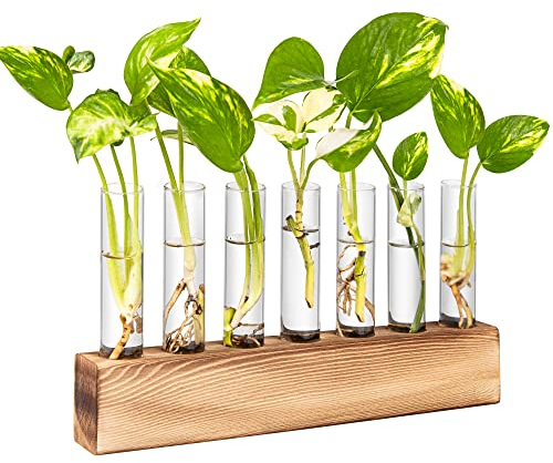 KAXYEW Plant Terrarium with Wooden Stand, Plant Propagation Tubes, 7 Test Tubes Glass Planter for Hydroponic Plant Cuttings Home Office Décor