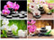 Diamond Painting Orchideen 4 Pack 50x40 cm Diamant Painting Orchideen Weiss 5D Diamant Painting Bilder Erwachsene Kinder Diamond Painting Orchidee Lila Daiments Painting Bilder Groß Malen nach Zahlen