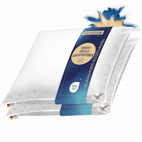 2 Stück Kopfkissen waschbar Allergiker Baumwollbezug 80x80