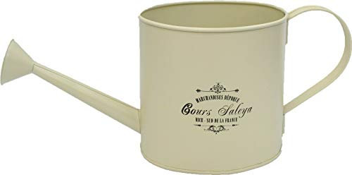 Rammento - Annaffiatoio in metallo color pastello, 3 litri