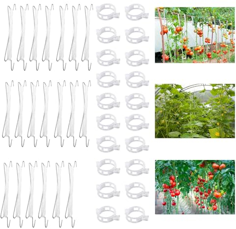 JLTXKST Tomatenhaken Metall,20 Stück Tomatenhaken,Garden Tomato Hooks,mit 20 Pflanzenschnalle & 3 m Seil, Tomatenpflanzenhalter,für Hängende Tomaten und Gurken (Weiss)