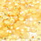 Little Snow Direct® Pack of 1000 Jelly AB Flat Back Rhinestones Diamante Gems Nail Art & Crafts (Champagne Jelly AB, 6mm)