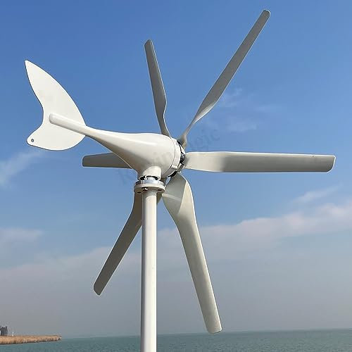 800W Windkraftanlage mit MPPT Laderegler für Zuhause 6 Flügeln 12V 24V 48V Windturbine Windmühle Windgenerator (24V mit Regler)