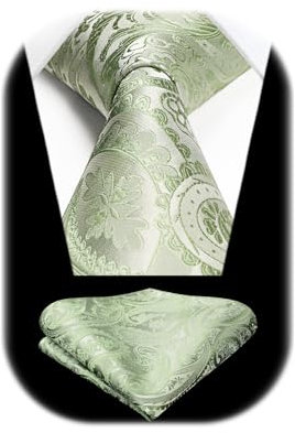 HISDERN Krawatte Salbeigrün Herren Hochzeit Paisley Krawatten mit Einstecktuch Set Elegant Grüne Krawatte und Taschentuch Business Party