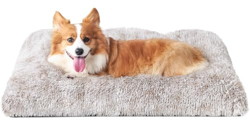 EHEYCIGA Flauschig Hundebett Kleine Hunde, Hundekissen Mittelgroße Hunde Waschbar, Kuschelig rutschfest Hundematte mit Langem Plüsch, Braun, 75x50cm