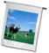 3dRose FL_81960_2 Irische Farmland mit Kühen nahe Dublin Irland EU15 BDA0027 Gartenflagge, 45,7 x 68,6 cm