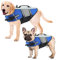 ALAGIRLS Ripstop Hund Rettungsweste, Schwimmen Sicherheit Rettungsweste mit Griff, Ausgezeichnete Auftrieb Welpe Wasser Schwimmweste für Swimming Boating Pool ALADLJ002-XIN-Blue M