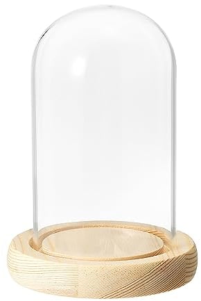 PATIKIL 4,7 x2,8 Clair Cloche Verre Dôme, Verre Cloche Jar Présentoir Coffret Table Pièce Maîtresse avec En-bois Base pour LED Lumière Plantes Maison Décoratif