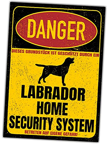 Labrador Labby Schild Danger Security System Türschild Hundeschild Warnschild Hund Sicherheitsschild Hund Privatgrundstück Hundewarnung Warnung vor dem Hund