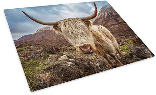 Grey Highland Cow Hills Glass Chopping Board Kitchen Worktop Saver Protector