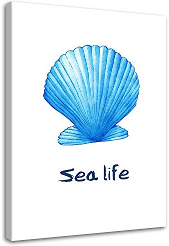Feeby Wandbilder - Bilder Schlafzimmer - Muscheln Sea Life Blau - 40x60 cm 1tlg - Wohnzimmer Bild Groß - Wohnungs - Foto Geschenk - Leinwand Wall Art - Wand Deko