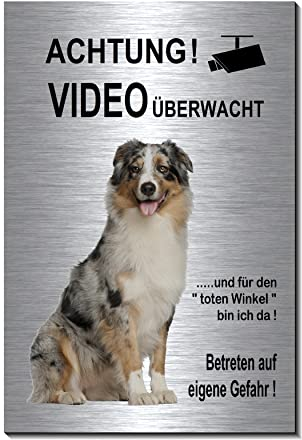 Australian Shepherd-Videoüberwachung-Hund-Schild-Hundeschild-150 x 100 x 3 mm-Aluminium Edelstahloptik-Hunde-Tierschild-Warnschild-Hinweisschild (1905-114 mit Klebepads)