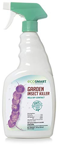 EcoSmart Natural, Plant-Based Garden Insect Killer with Rosemary and Peppermint Oil, 24 Ounce Ready-to-Use Spray Bottle