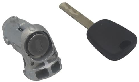 Generic AL223 7701209836 Barillet de Serrure de Porte Avant Gauche pour Renault Fluence Kangoo Master Trafic Clio III