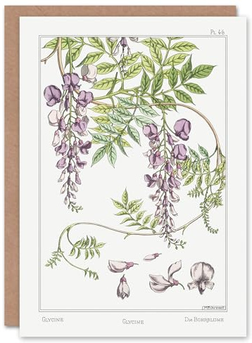 Artery8 Maurice Pillard Verneuil Art Card Wisteria Flower