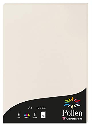 Clairefontaine 4268C Packung mit 50 Karten Pollen 120g, DIN A4, 21 x 29,7cm, Hellgrau