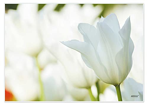 Artipics Tischsets White Spring Platzsets Abwaschbar Aus Kunststoff 4 Stück je 42 x 30 cm Platzdeckchen Weiße Frühlings Tischdeko Für Küche/Essbereich/Gäste/Drinnen/Draußen