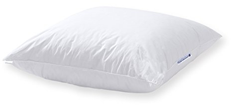 Nordic Coast Daunenkissen 40x40cm Couchkissen Sofakissen Kissenfüllung Kissen Inlet Federkissen Made in Germany Premium Daunen Kissen für Sofa, Bett, formstabil und stüztend als Kopfkissen