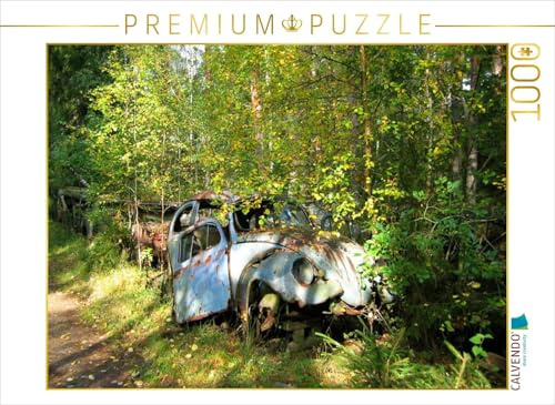 CALVENDO Puzzle Käfer | 1000 Teile Lege-Größe 64 x 48 cm Foto-Puzzle für glückliche Stunden