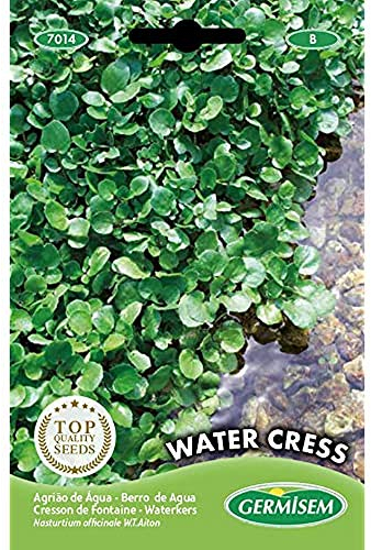 Germisem Water Cress Semillas 1 g (EC7014)