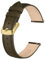 BISONSTRAP Elegante Leder Uhrenarmband, Schnellverschluss, Uhrenarmbänder für Damen und Herren, Kompatibel mit Uhrenanstößen von 12mm, Grün Braun (Goldene Schnalle)