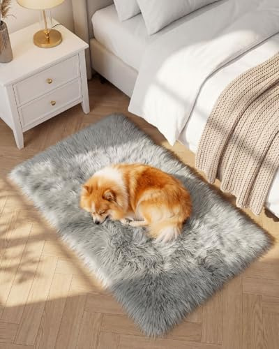 Gofodsil Teppich aus Kunstfell,Schwarz–Weicher, Flauschiger Teppich,maschinenwaschbarer Plüschteppich für Schlafzimmer,Wohnzimmer-Weicher Bettvorleger & Wohnaccessoire (Hellgrau, 60x90 cm)