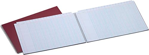 Jalema 2121136200 Contabilidad libros, 294 x 452 mm, 2 x 16 columnas