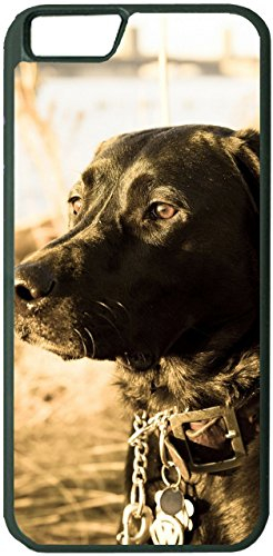 Yanteng Fall für iPhone 6 iPhone 6S (4,7 Zoll) Labrador Retriever