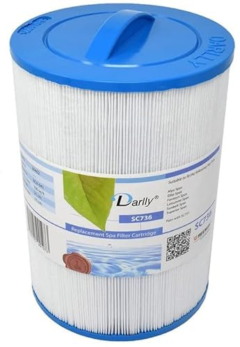 Darlly spa filter SC736 (6CH-941)