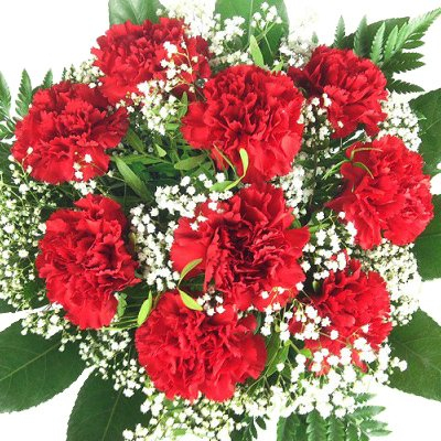 Handgebundener Blumenstrauß mit roten Nelken, Schleierkraut und frischem Bindegrün. # Nelken # Blumenstrauß