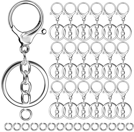 40Pcs Keyring Clip with Key Rings Kit 20 pcs Open Jump Rings 20pcs Keychain Hook with Chain Metal Swivel Lobster Clasps Swivel Lanyard Snap Hooks for Hanging Crafts