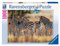 Ravensburger 19113 - Zebraherde 1000 Teile Puzzle