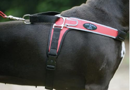 TRE Ponti Geschirr Forza mit Reflektierenden Rand Rosa 50-65 cm bis ca. 10-20 kg
