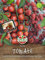 Sperli Cherry-Tomatensamen Arielle, F1 83284 - wüchsige Sorte - Für Gewächshaus - Rosinentomate - zum trocknen - 20-25g - Saatgut, Samen Gemüse, Gemüse Pflanzen