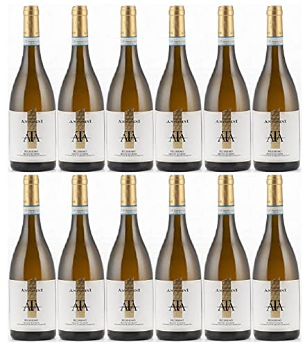 Tenuta Antonini Pecorino Abruzzo 2020 (12 x 0,75l)