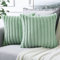 Soleebee 2er Set Plüsch Samt Kissenbezüge, Weiche Künstliche Pelz Dekorativ Kissenbezug Sofa Zierkissenbezüge Dekokissen Kissenhülle Set für Couch Schlafzimmer Zuhause Auto Dekor (60x60cm, Hellgrün)