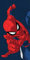 Handtuch Spiderman SPM-217T, 70x140, 100% Baumwolle