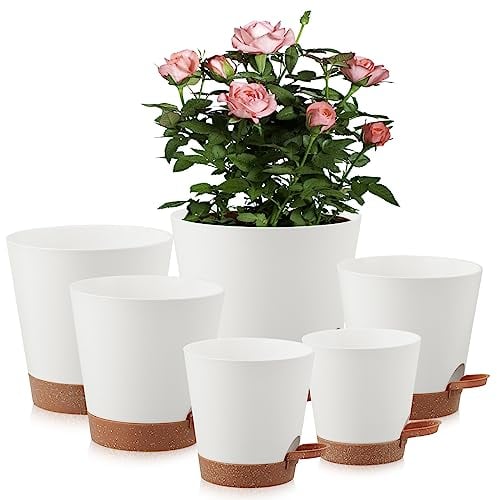Gunolye 6 Pack Plastic Plant Pots,Self-Watering Plant Pots Indoor,20/17.5/16.5/15/14/12.5cm, Flower Pots with Drainage Holes Saucer and Reservoir for All House Plants