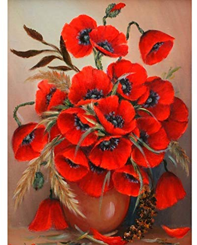 Zariocy 5D Diamond Painting Complet Fleur, DIY Broderie Peinture Diamant Painting Kit Complet Coquelicot, Tissu En Toile IdÉal Pour La DÉcoration À La Maison Salon Chambre Bureau 30x40cm