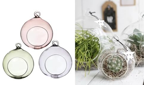 NaDeco Hängende Glaskugel Vase im Set mit 3 Stück (Grün, Lila, Pink), wählbar in 2 Größen | Sukkulenten Glas | Terrarium Glas | Tillandsia Glas | Flower Air | Pflanzgefäß | Teelichtglas, Größe:Ø 10cm