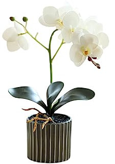 susiodeu Orchidea Artificiale Bonsai Phalaenopsis in Vaso Casa Giardino Colore Brillante Pianta Finta Realistica per Matrimonio sul Balcone Interno, Bianco
