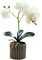susiodeu Orchidea Artificiale Bonsai Phalaenopsis in Vaso Casa Giardino Colore Brillante Pianta Finta Realistica per Matrimonio sul Balcone Interno, Bianco