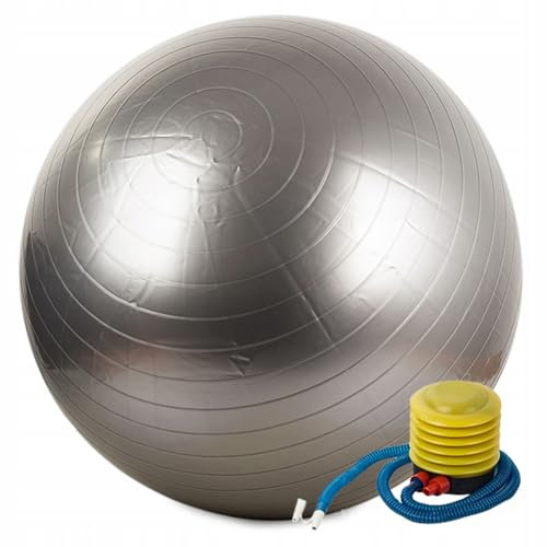 GADIRIA Ballon de Pilates de 65 cm avec pompe de gonflage – Fitball pour yoga, gymnastique, Pilates, fitness, exercice à domicile, rééducation, femme enceinte (gris)